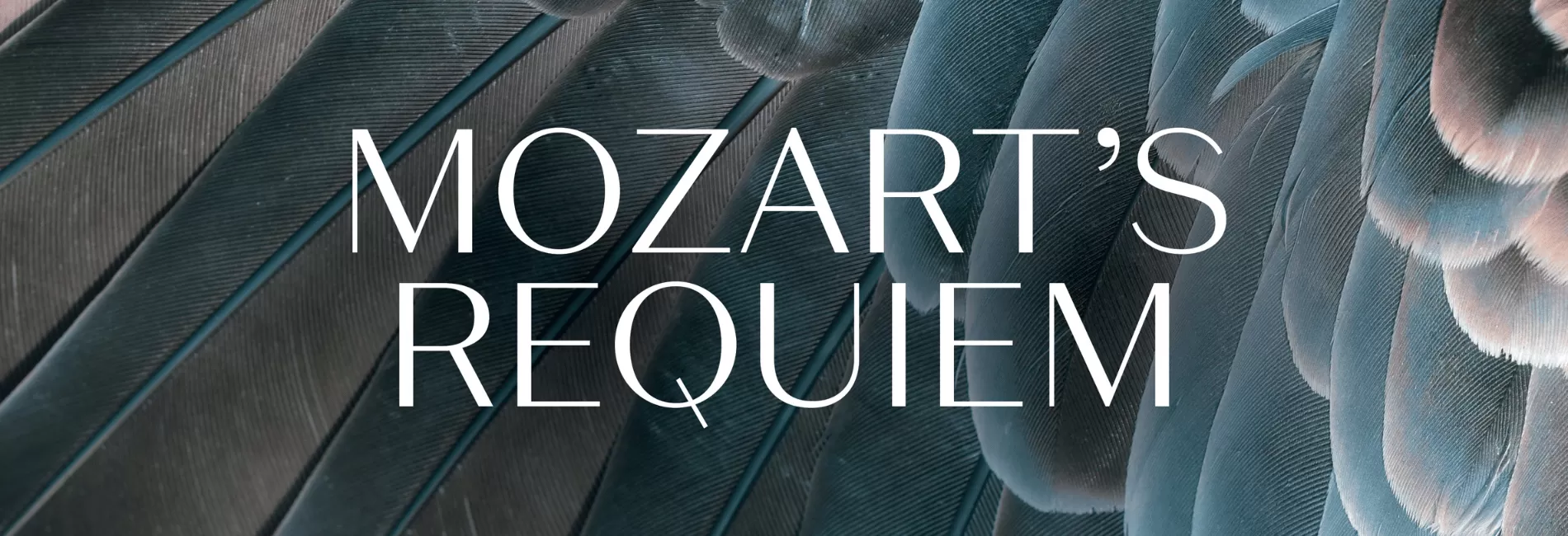 Los Angeles Master Chorale | Walt Disney Concert Hall